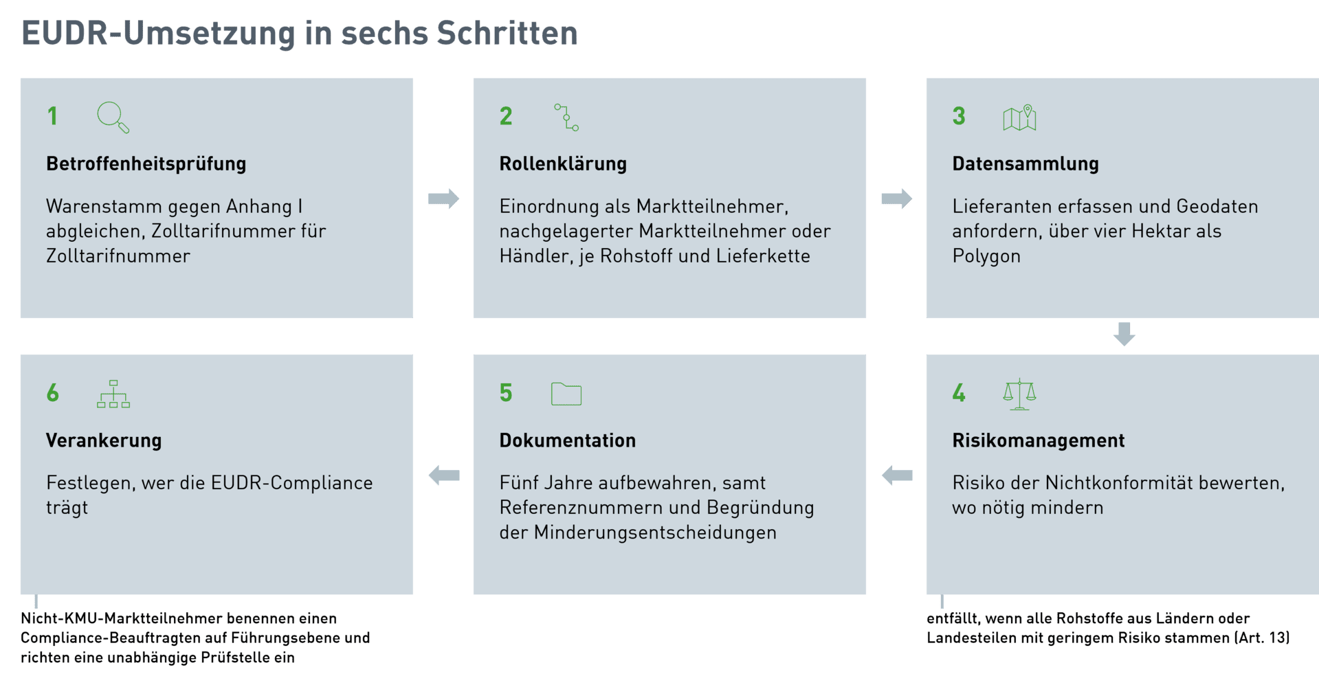 Sechs Schritte zur Umsetzung der EU-Entwaldungsverordnung (EUDR): Betroffenheitsprüfung, Rollenklärung, Datensammlung, Risikomanagement, Dokumentation, Verankerung im Betrieb. Das Risikomanagement entfällt, wenn alle Rohstoffe aus Ländern mit geringem Risiko stammen.